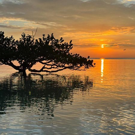 Mangrove Lodge Zanzibar Eksteriør billede