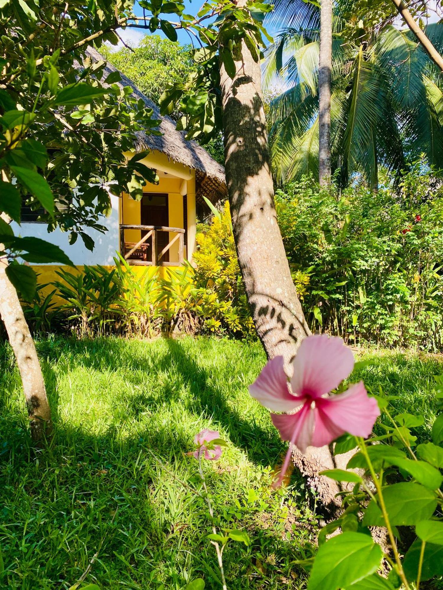 Mangrove Lodge Zanzibar Eksteriør billede