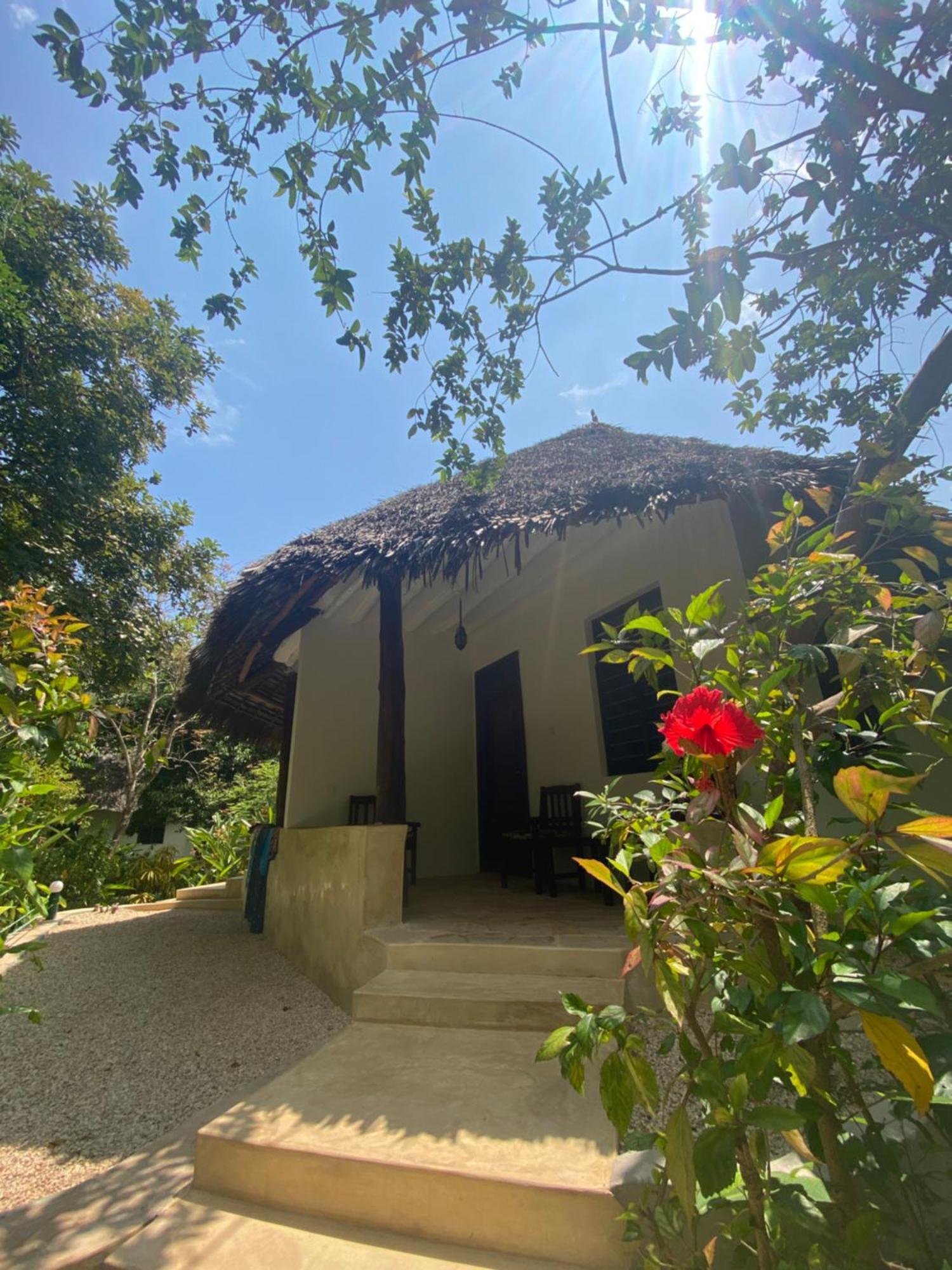 Mangrove Lodge Zanzibar Eksteriør billede