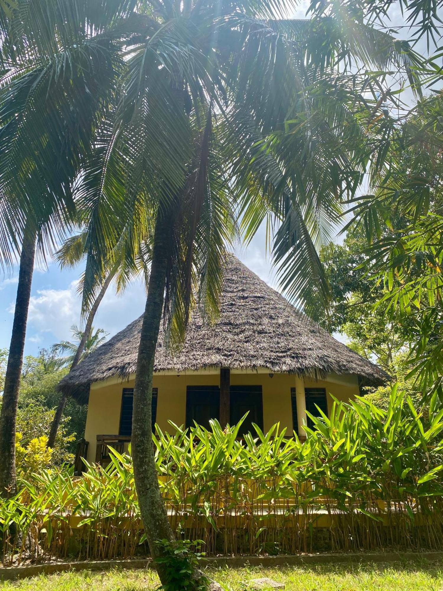 Mangrove Lodge Zanzibar Eksteriør billede