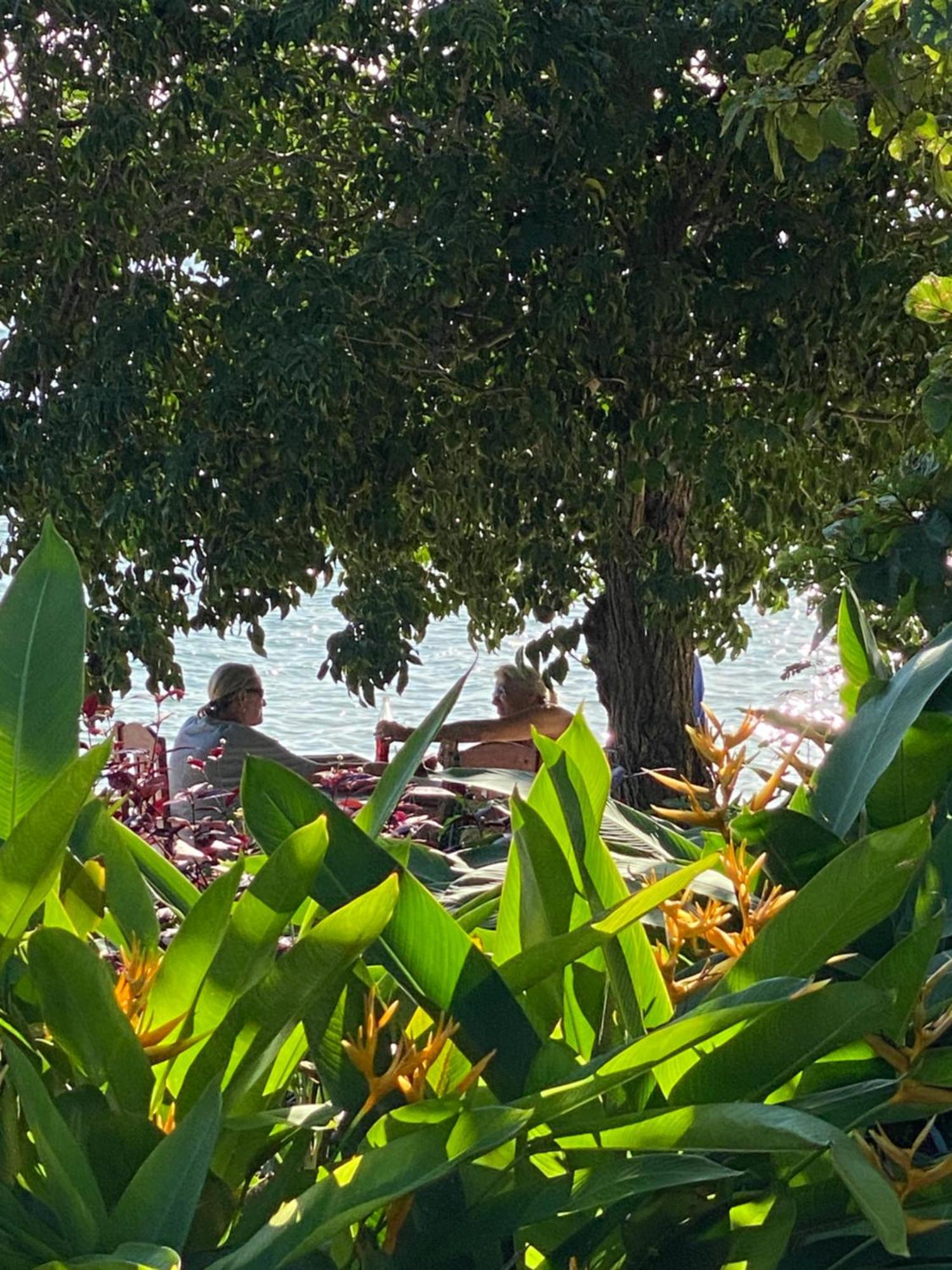 Mangrove Lodge Zanzibar Eksteriør billede