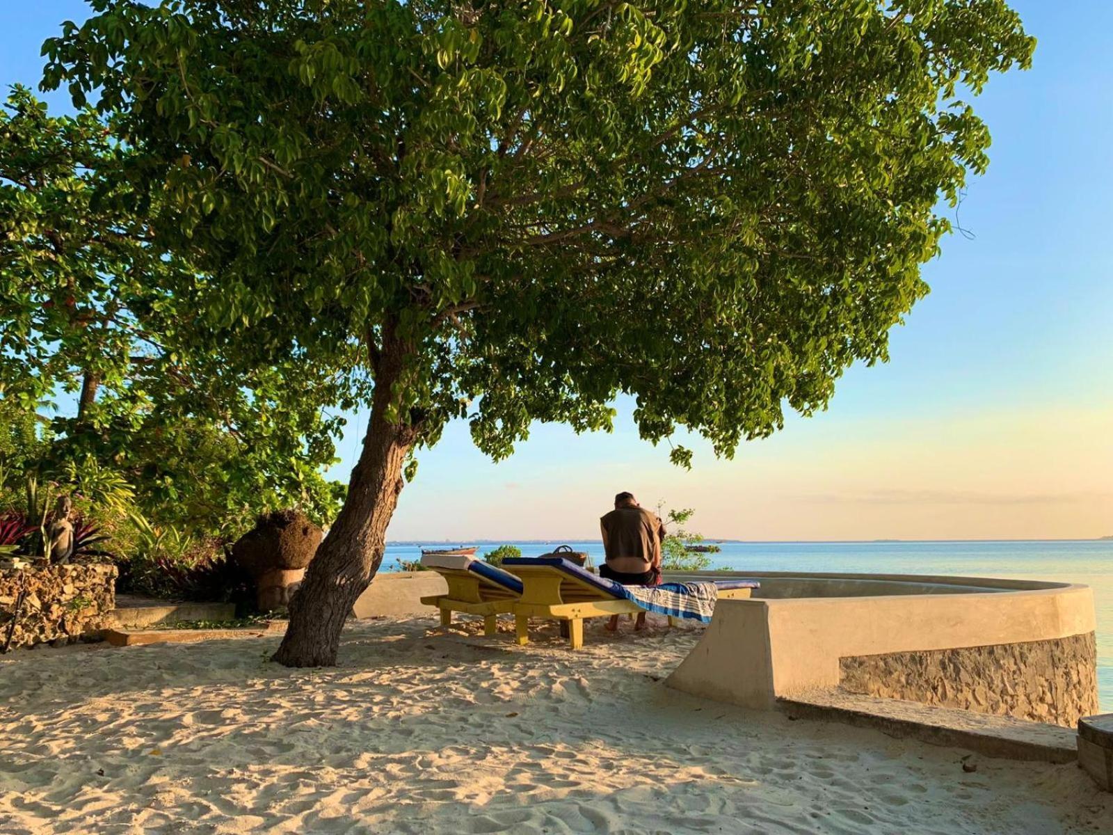 Mangrove Lodge Zanzibar Eksteriør billede