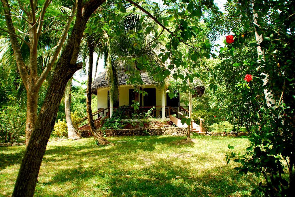 Mangrove Lodge Zanzibar Værelse billede
