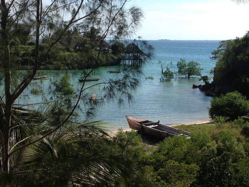 Mangrove Lodge Zanzibar Eksteriør billede