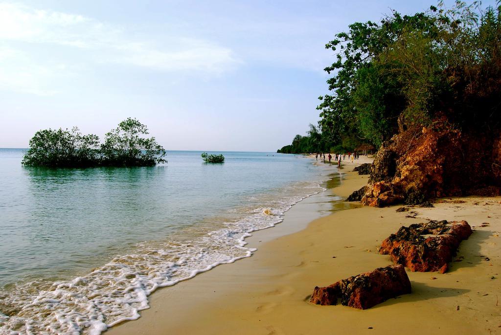 Mangrove Lodge Zanzibar Eksteriør billede
