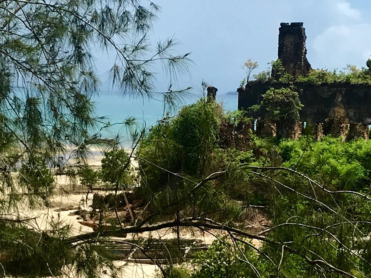 Mangrove Lodge Zanzibar Eksteriør billede