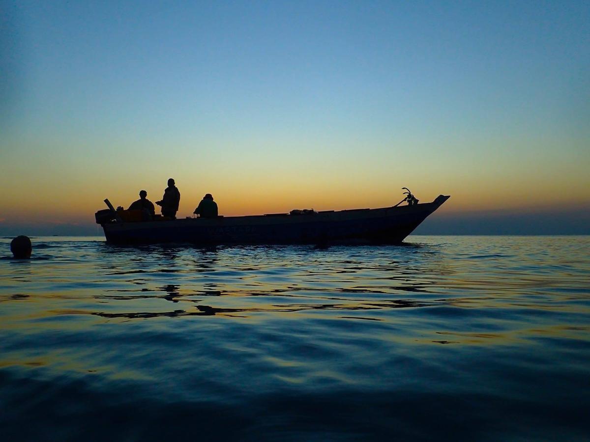 Mangrove Lodge Zanzibar Eksteriør billede