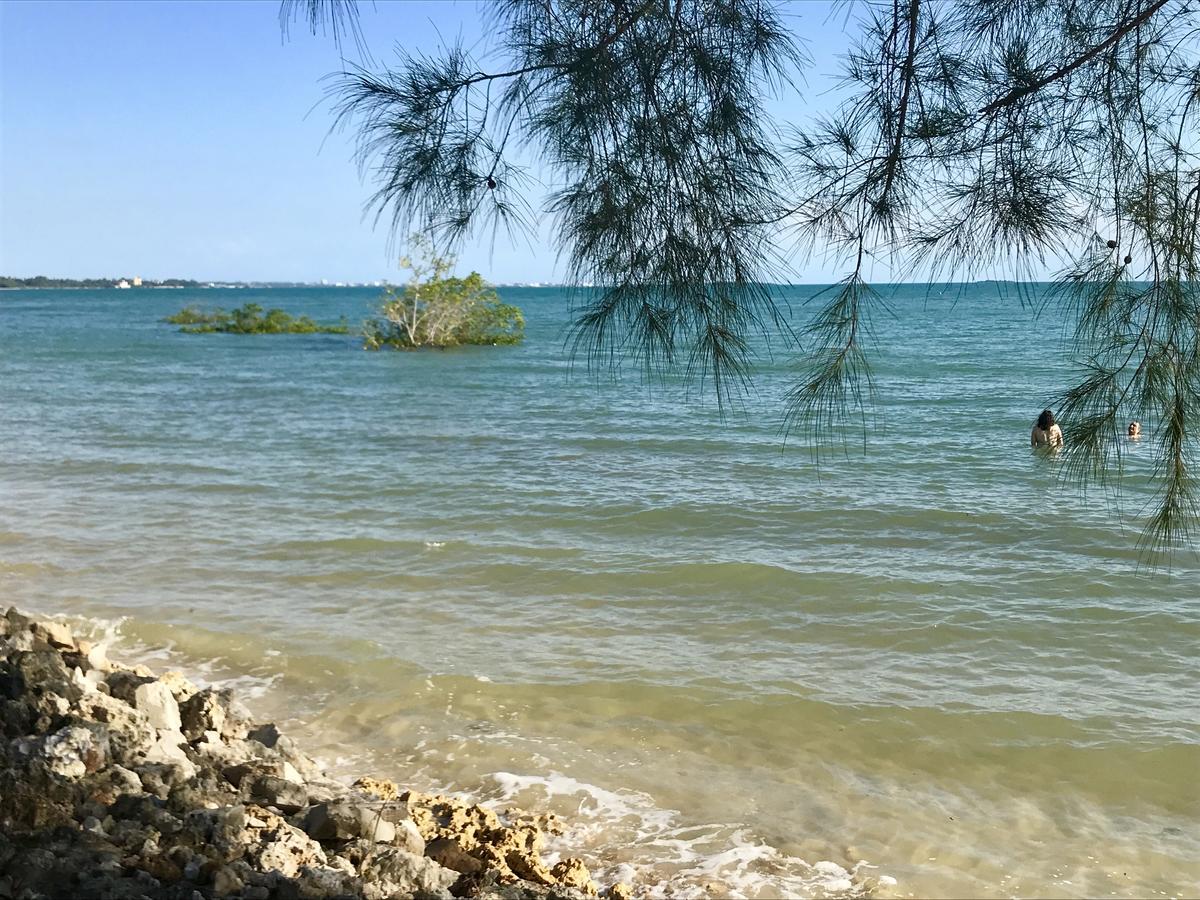 Mangrove Lodge Zanzibar Eksteriør billede